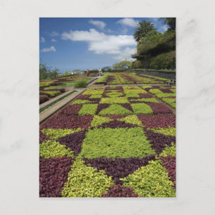 Botanical Gardens, Funchal, Madeira Islands, Postcard