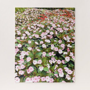Botanical Gardens pink flowers NSW Jigsaw Puzzle