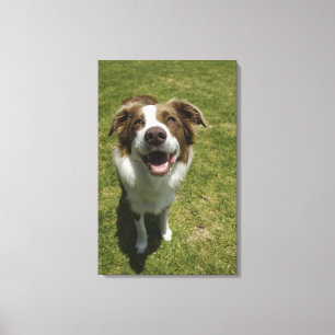 Botanical Gardens, Sydney, New South Wales, 2 Canvas Print