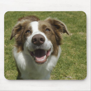 Botanical Gardens, Sydney, New South Wales, 2 Mouse Pad