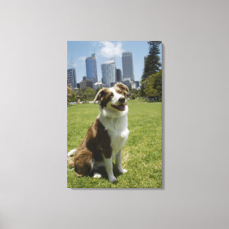 Botanical Gardens, Sydney, New South Wales, 3 Canvas Print