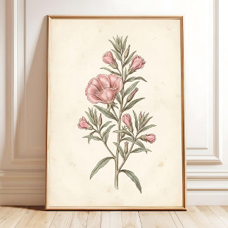 Botanical Godetia Cottagecore Canvas Print Home De