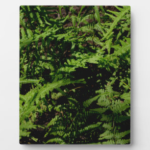 Botanical green Forest Floor Ferns Plaque