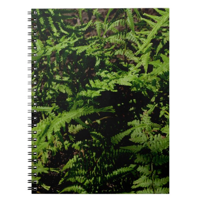 Botanical green Forest Floor Ferns Spiral Notebook (Front)