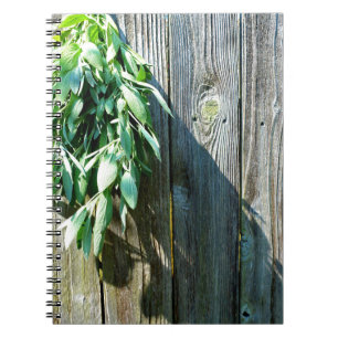 Botanical green herbs distressed wood grain spiral notebook