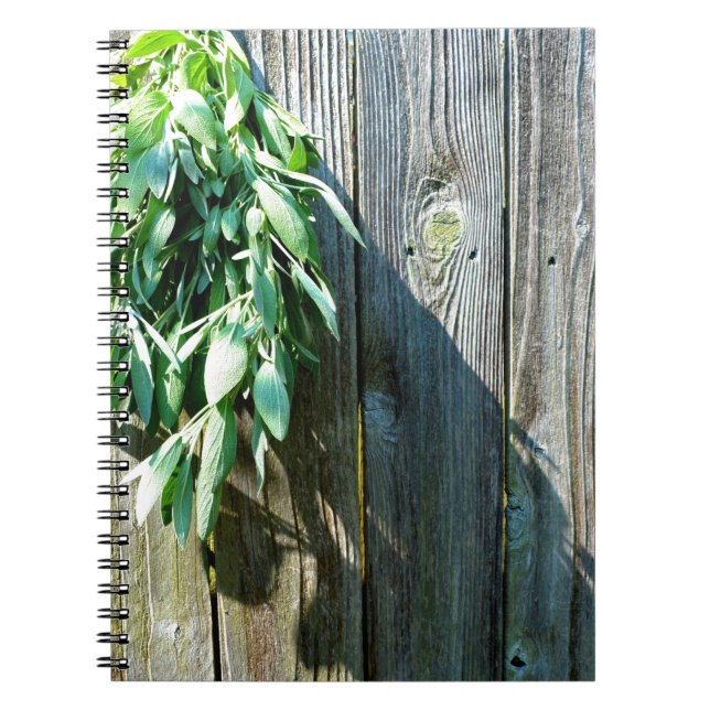 Botanical green herbs distressed wood grain spiral notebook (Front)