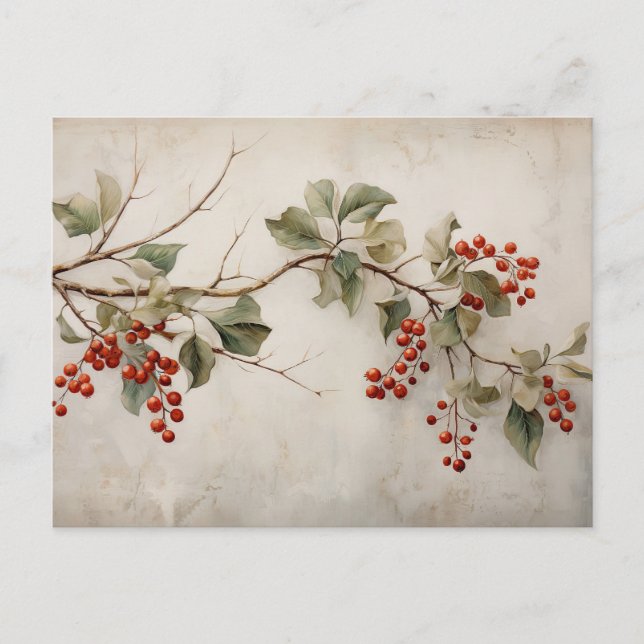 Botanical Green Holly and Red Berries Postcard (Front)