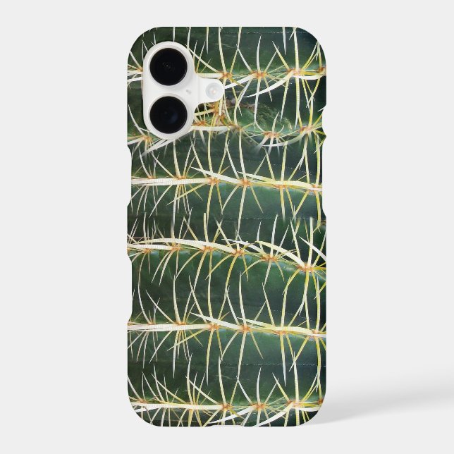Botanical Green Sphere Cactus Horizontal (Back)