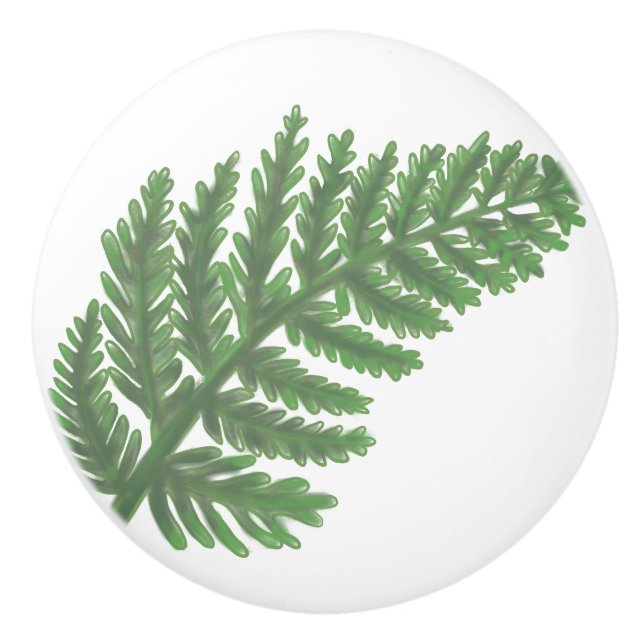 Botanical greenery  Green Fern Ceramic Knob (Front)