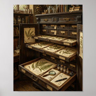 Botanical Herbarium Cabinet Specimen Desk I Poster