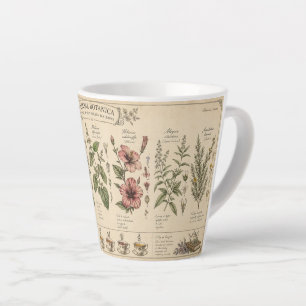Botanical Herbs Mug –
