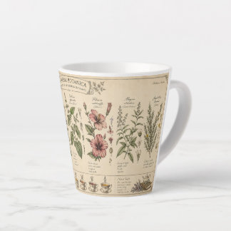 Botanical Herbs Mug –