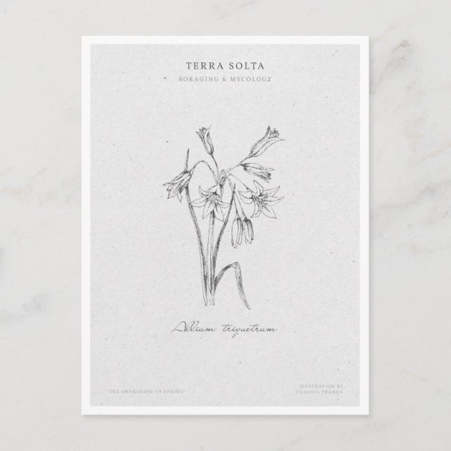 Botanical Illustration 4 'The Awakening of Spring' Postcard (Front)