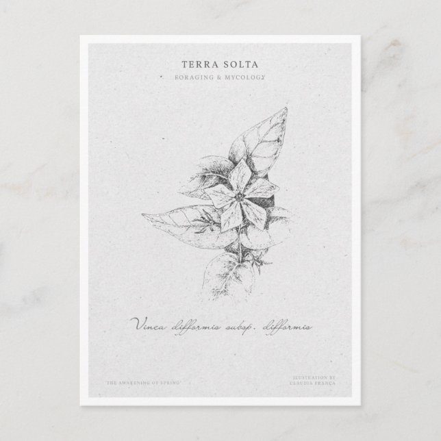 Botanical Illustration 5 'The Awakening of Spring' Postcard (Front)