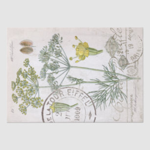 Botanical Illustration Dill French Postmark Craft Tissue Paper