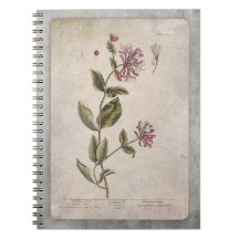 Botanical Illustration Notebook - Honeysuckle