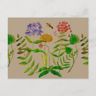 Botanical Illustration on Postcard