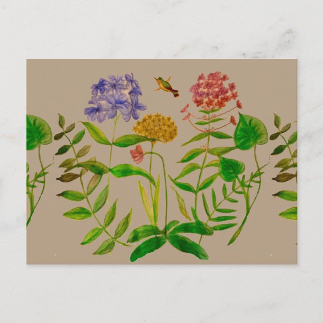Botanical Illustration on Postcard (Front)