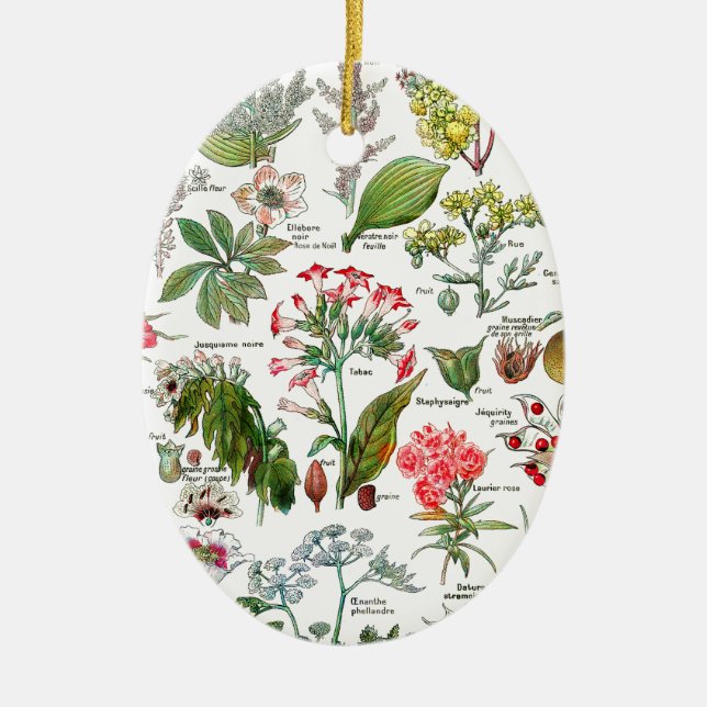 Botanical Illustrations Ceramic Tree Decoration (Front)