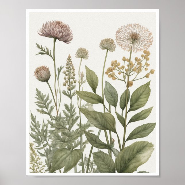 botanical illustrations intricate patterns texture poster (Front)