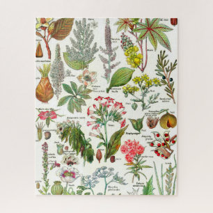 Botanical Illustrations Jigsaw Puzzle