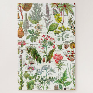 Botanical Illustrations Jigsaw Puzzle
