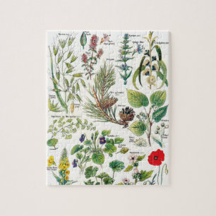 Botanical Illustrations Jigsaw Puzzle