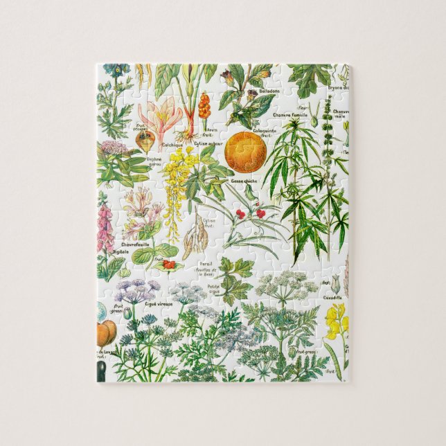 Botanical Illustrations Jigsaw Puzzle (Vertical)