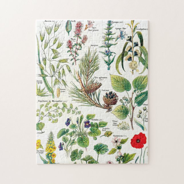 Botanical Illustrations Jigsaw Puzzle (Vertical)