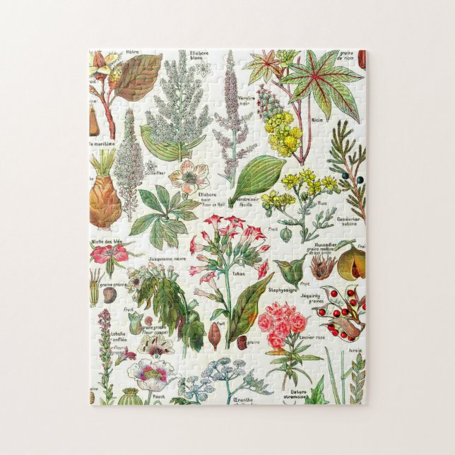 Botanical Illustrations Jigsaw Puzzle (Vertical)