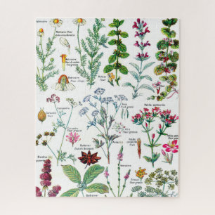 Botanical Illustrations Jigsaw Puzzle