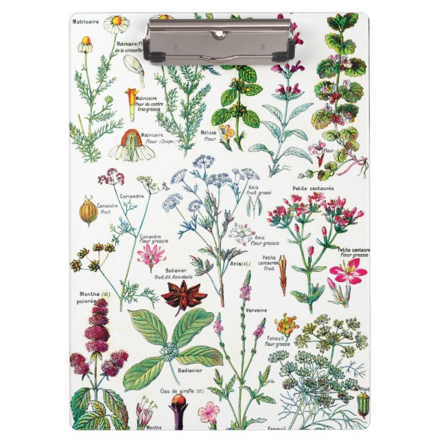 Botanical Illustrations - Larousse Plants Clipboard (Front)