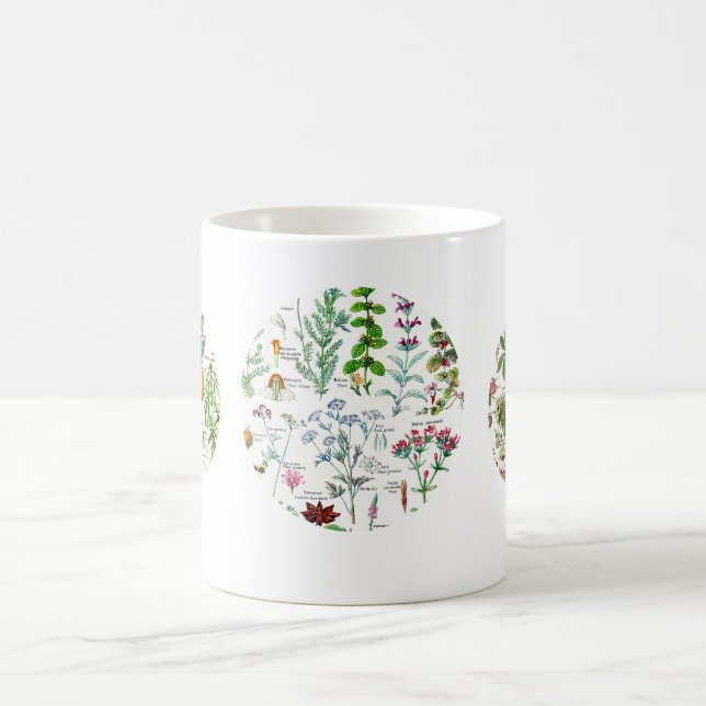 Botanical Illustrations - Larousse Plants Coffee Mug (Center)