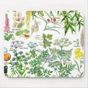Botanical Illustrations - Larousse Plants Mouse Pad