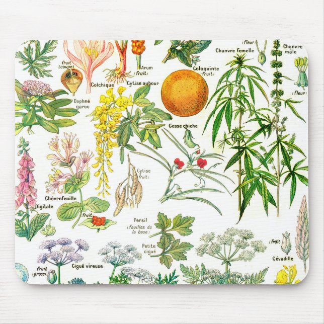 Botanical Illustrations - Larousse Plants Mouse Pad (Front)