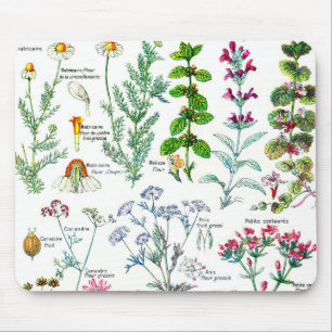 Botanical Illustrations - Larousse Plants Mouse Pad