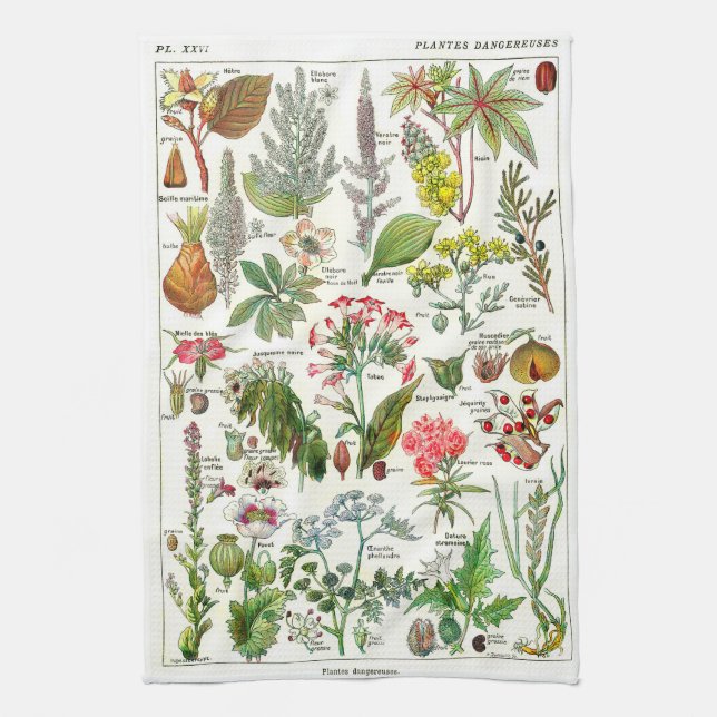 Botanical Illustrations - Larousse Plants Tea Towel (Vertical)