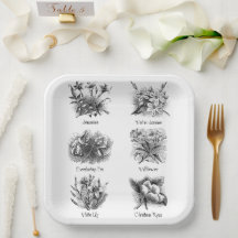 Botanical illustrations