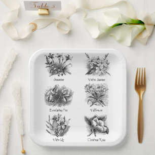 Botanical illustrations paper plate