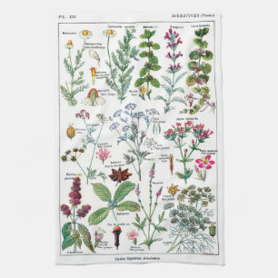 Botanical Illustrations Tea Towel