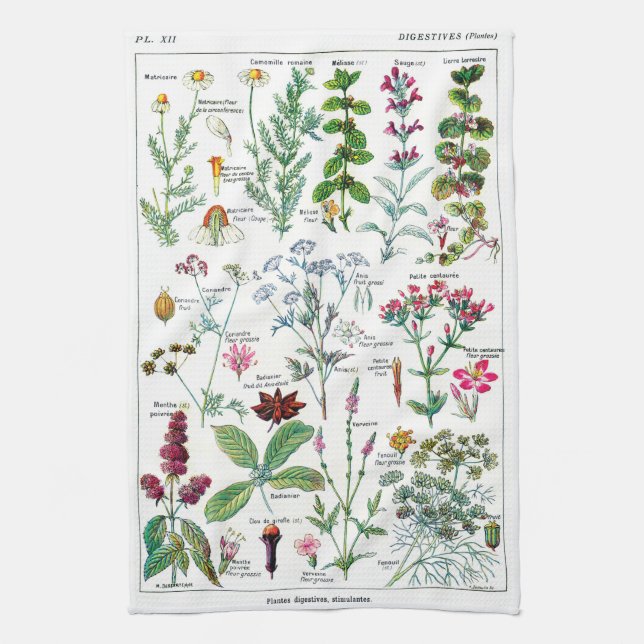 Botanical Illustrations Tea Towel (Vertical)