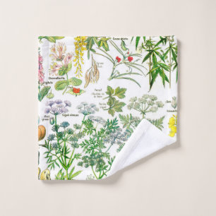 Botanical Illustrations Wash Cloth