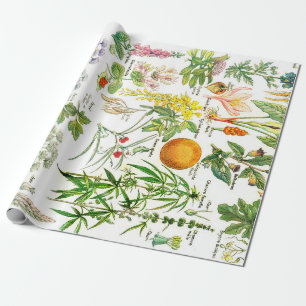 Botanical Illustrations Wrapping Paper