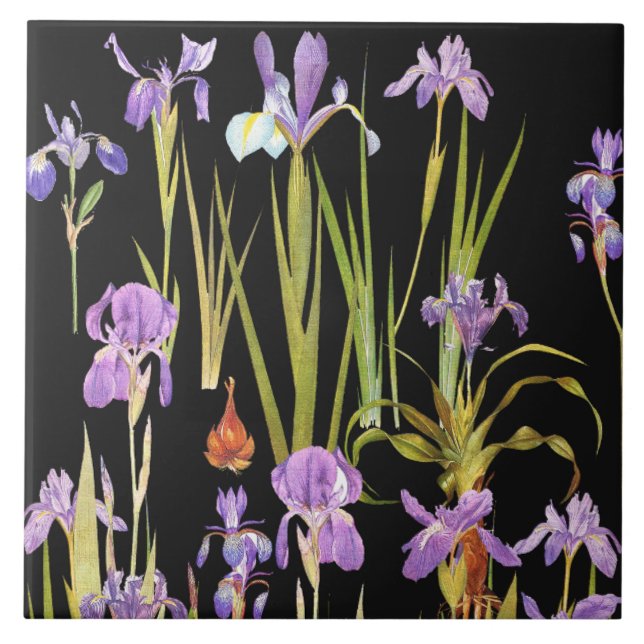 Botanical Iris Flowers Floral Irises Tile (Front)