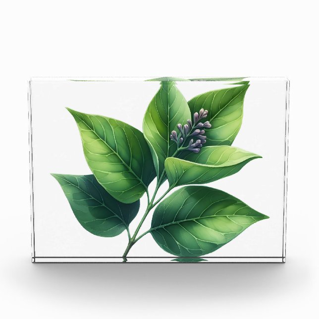 Botanical Leaf and Blossoms Photo Block (Front)
