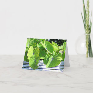 Botanical Leaves Note Card