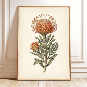 Botanical Leucospermum Cottage Wall Art