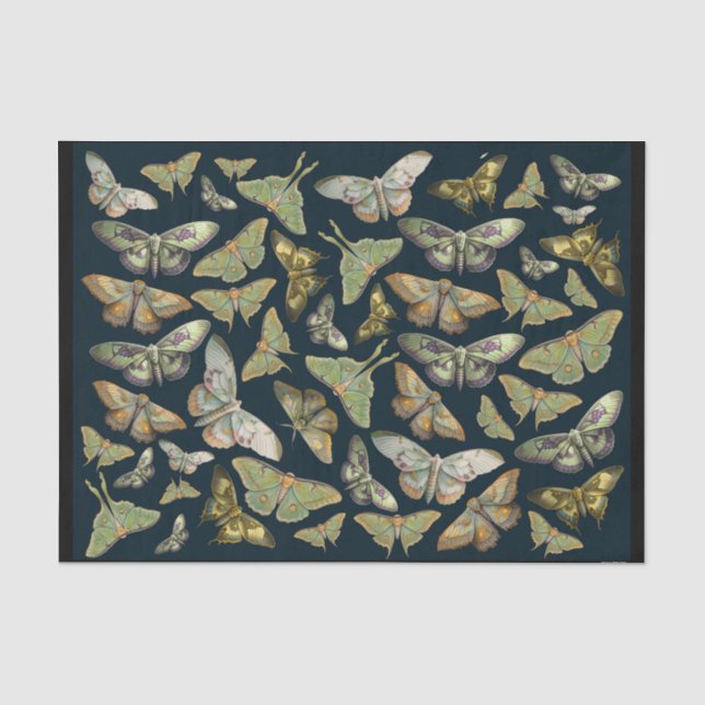 Botanical Moths on Black, Luna Moth Collection Tissue Paper (Front)