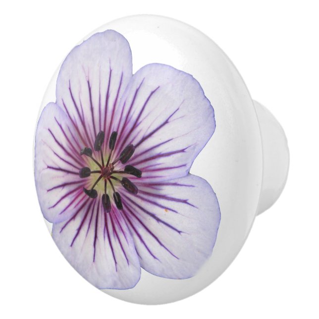Botanical Pale Blue Geranium Flower on any Colour Ceramic Knob (Right)