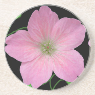 Botanical Pale Pink Geranium Flower on any Colour Coaster